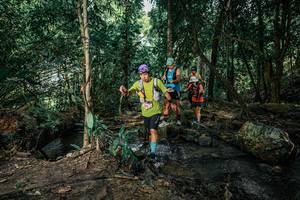 BIB: 
                            <button type="button" onclick="openModal(25747106)" class="btn btn-primary btn-sm float-right btn-popup" data-toggle="modal" data-target=".modal-high-quality">
                        <i class="fas fa-shopping-cart"></i> Add to Cart
                    </button>
                                            <button type="button" onclick="isThisMe(25747106, true)" class="btn btn-success btn-sm float-right btn-popup btn-isme hidden" data-toggle="tooltip" data-placement="bottom" title="นี่คือรูปของคุณใช่ไหม คลิกที่นี่เพื่อเอาเข้าอัลบั้ม">
                        <i class="fas fa-plus"></i> Add to album
                    </button>
                    <button type="button" onclick="isThisMe(25747106, false)" class="btn btn-warning btn-sm float-right btn-popup btn-isnotme hidden">
                        <i class="fas fa-ban"></i> Remove from album
                    </button>